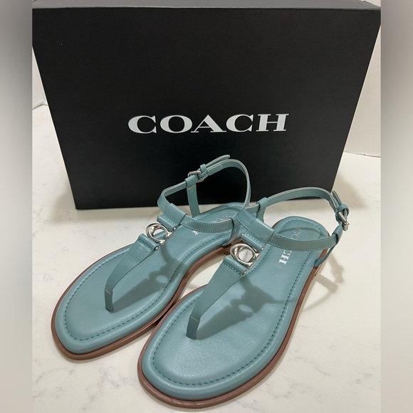 Coach Shoes - Coach Blue T-Strap Sandals with Metallic Detail